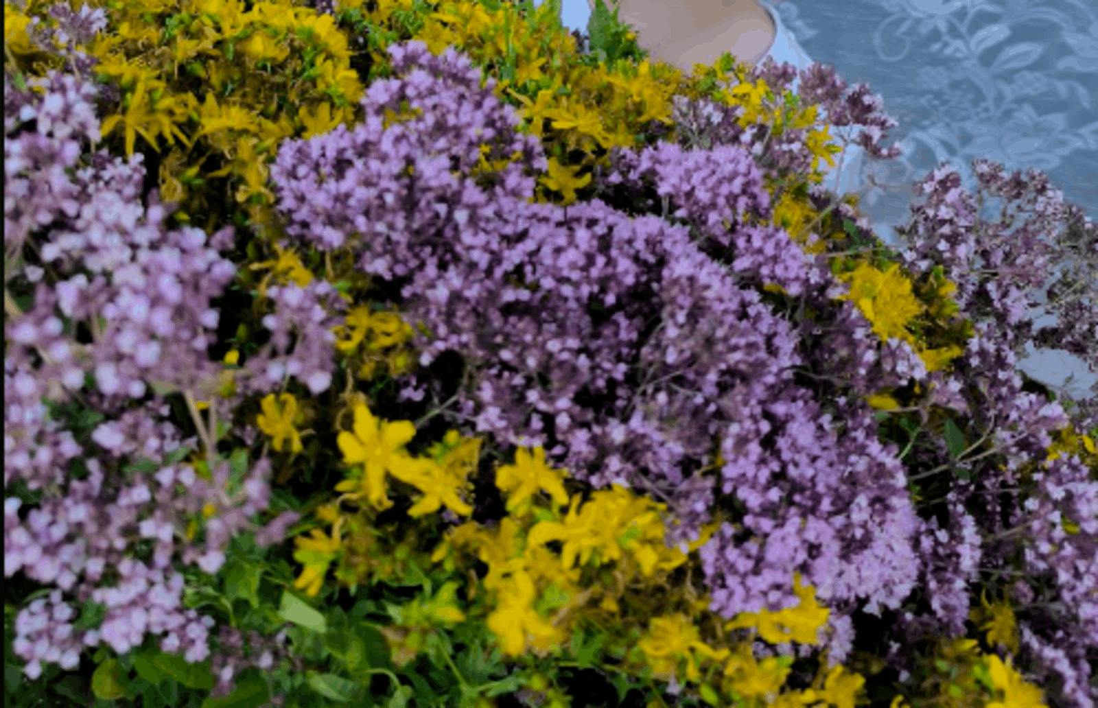 СпектакльМәтрүшкәле чәй