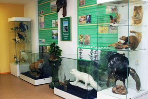 Выставка флоры и фауны «Природа нашего края»