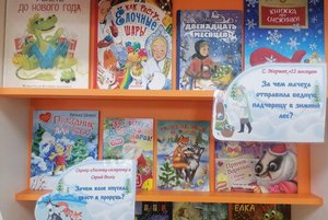 Книжная выставка «В Новый год за сказкой»