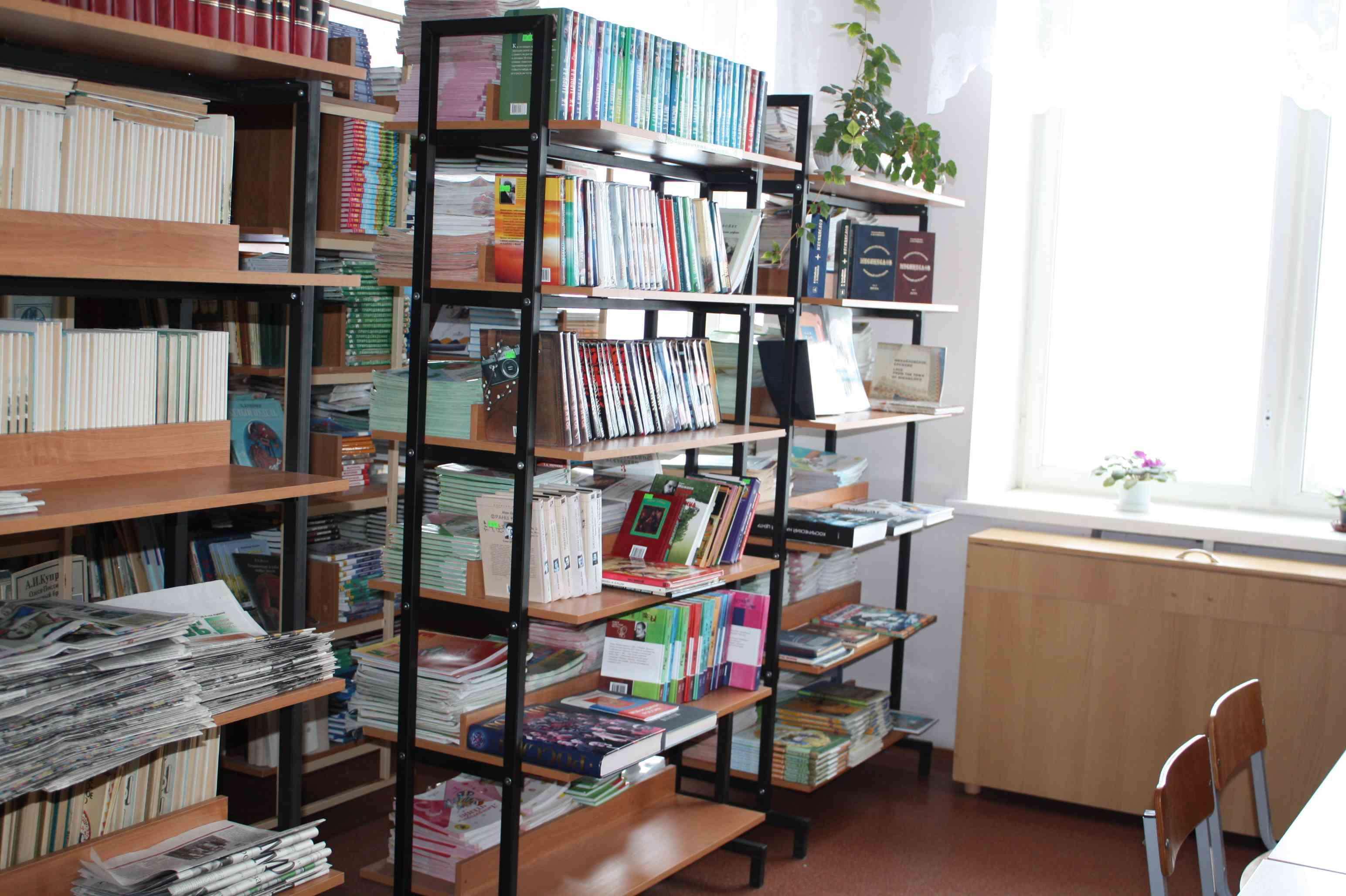Школа без библиотеки. Библиотека Минусинск читальный зал. Школьная библиотека. Библиотека в школе. Стеллаж библиотечный.