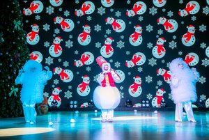 Представление «Новогодний переполох»