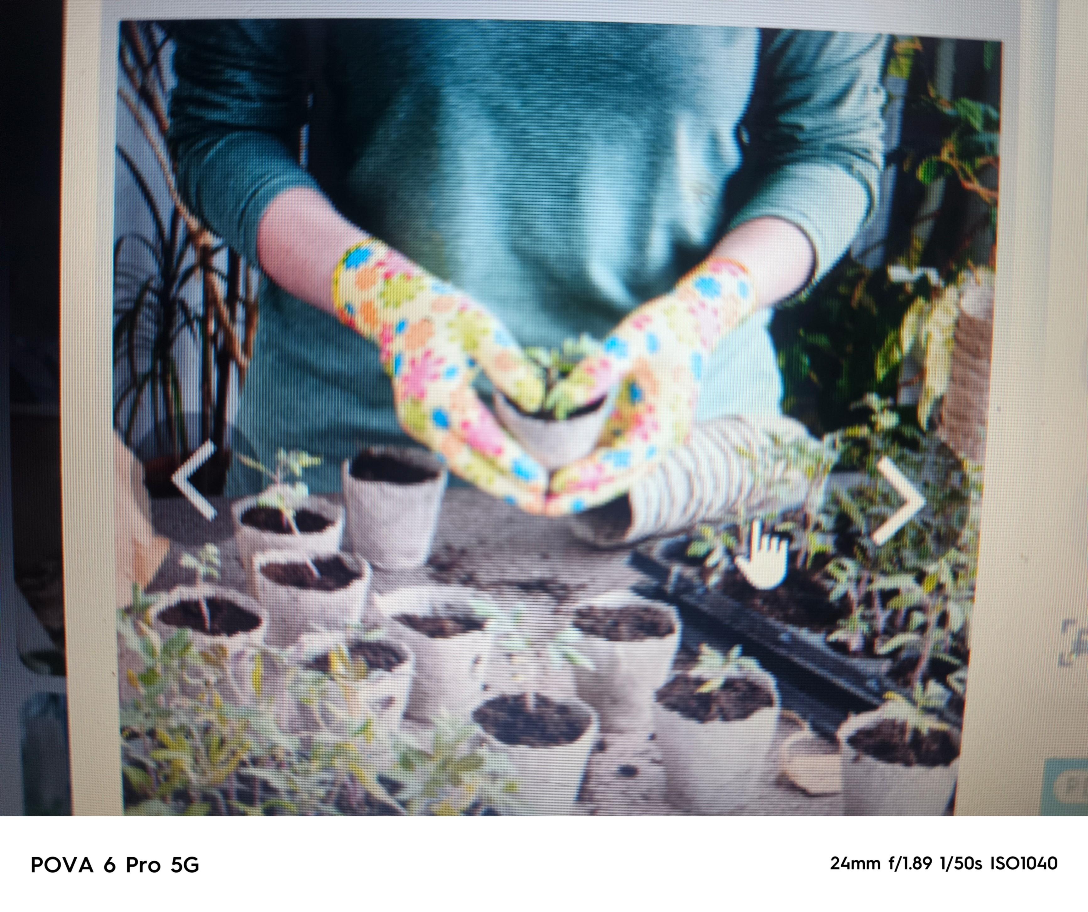 «Дела огородные»–встретимся поговорим