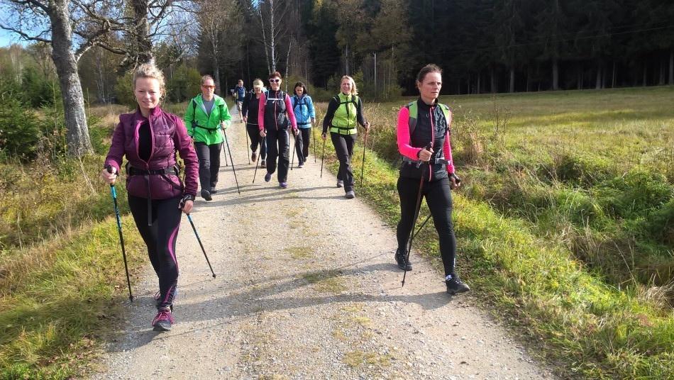 Скандинавская ходьба