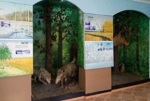 Экспозиция Эртильского краеведческого музея