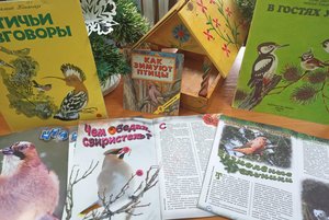 Книжная выставка «Жизнь зимующих птиц»