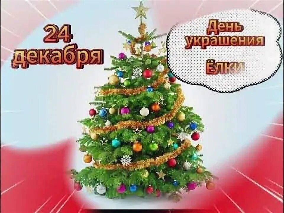 День украшения ёлки