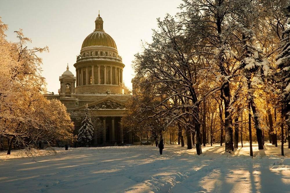 Программа «100%»