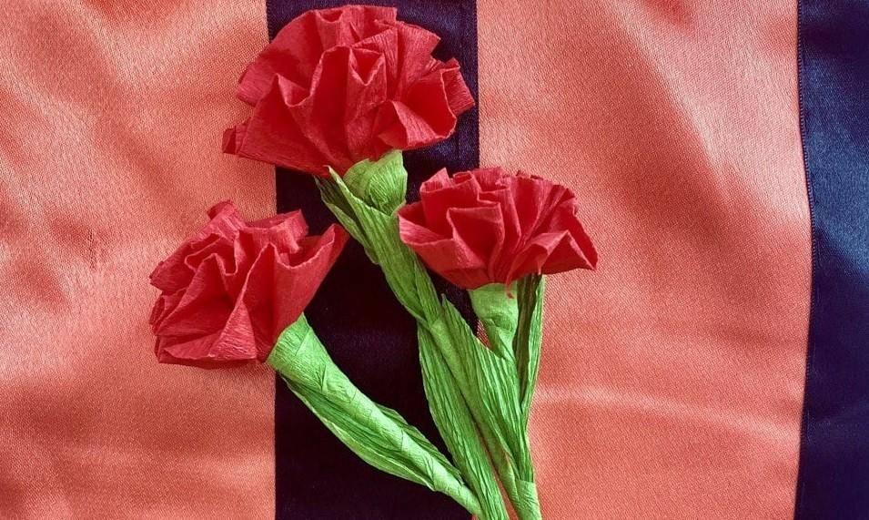 «Красная гвоздика»