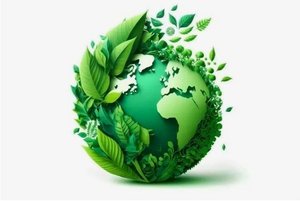 Интеллектуальная игра «Природный эрудит»