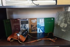 Квест «Цвет настроения – читать»