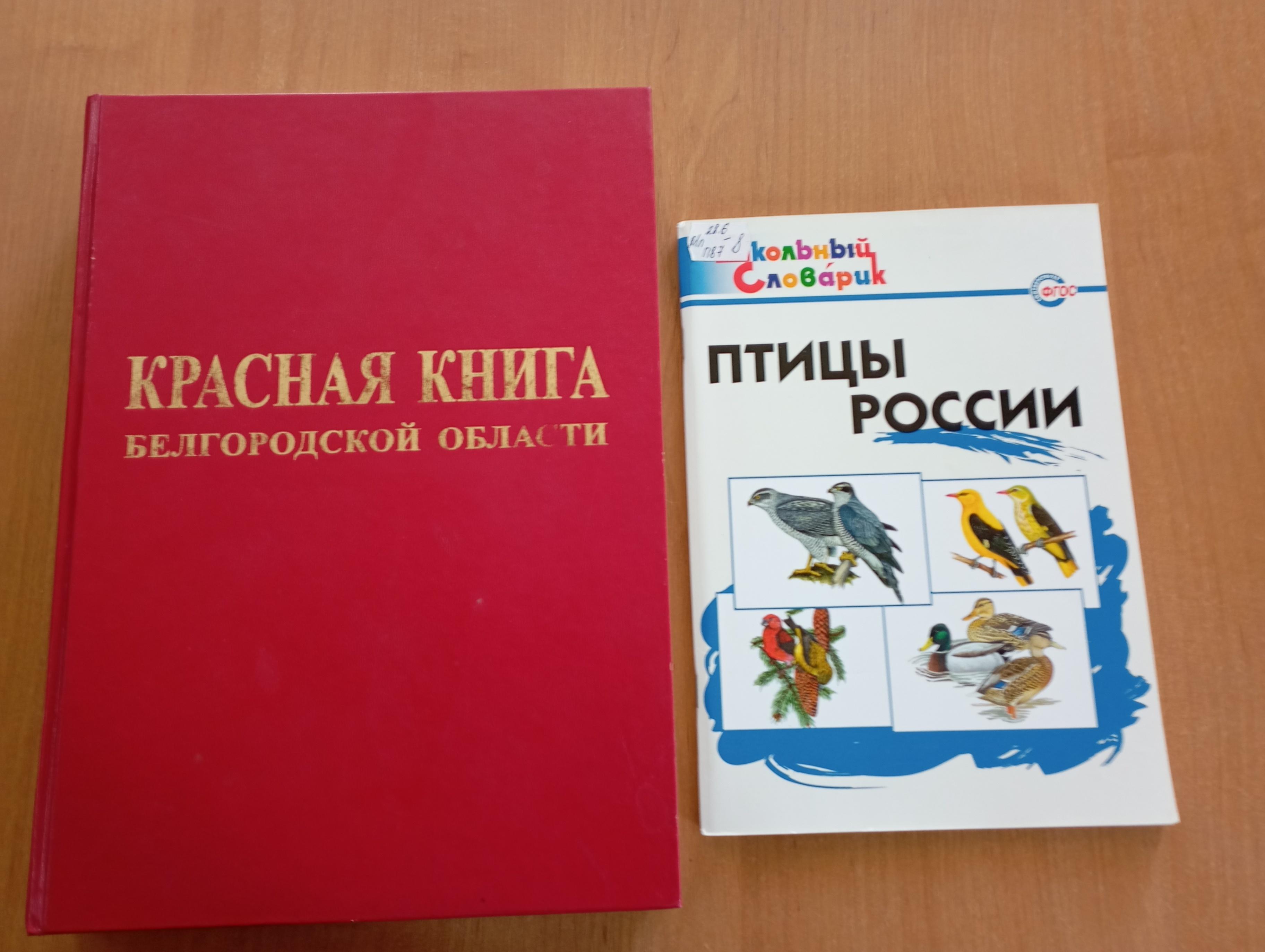 Экологический час «Пернатые соседи или путешествие в «Птицеград»