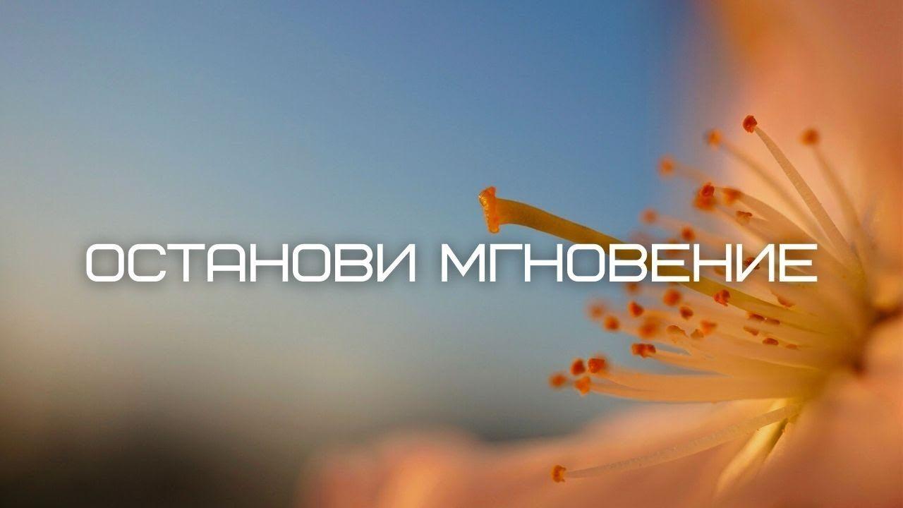 «Останови мгновенье»