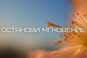«Останови мгновенье»