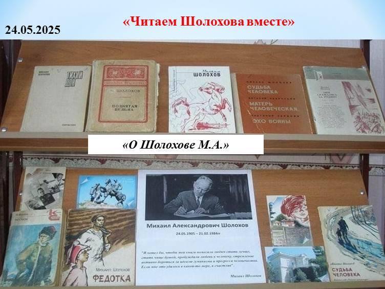 «Читаем Шолохова вместе»