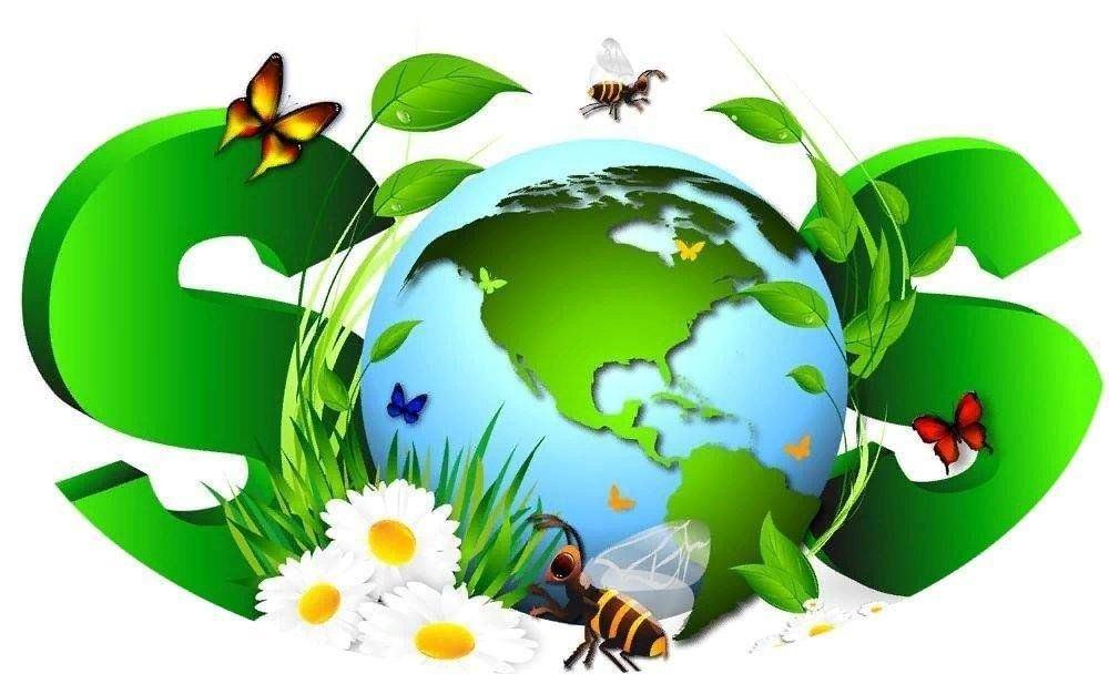 Познавательный час «День защиты земли»