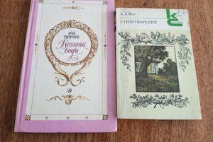 Книжная выставка «Певец красоты»