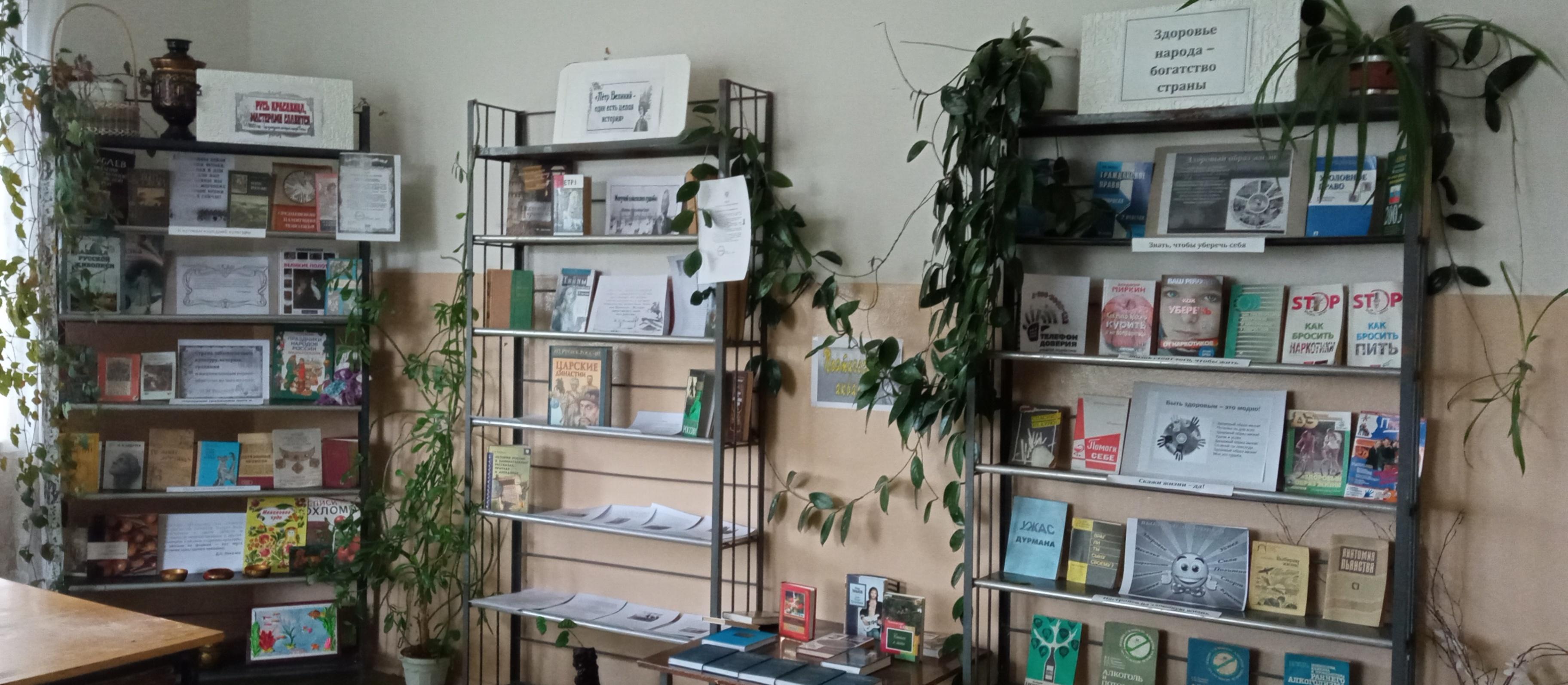 Чернышихинская сельская библиотека – филиал № 30