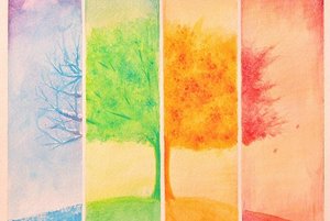 Мастер-класс «Рисуй!»