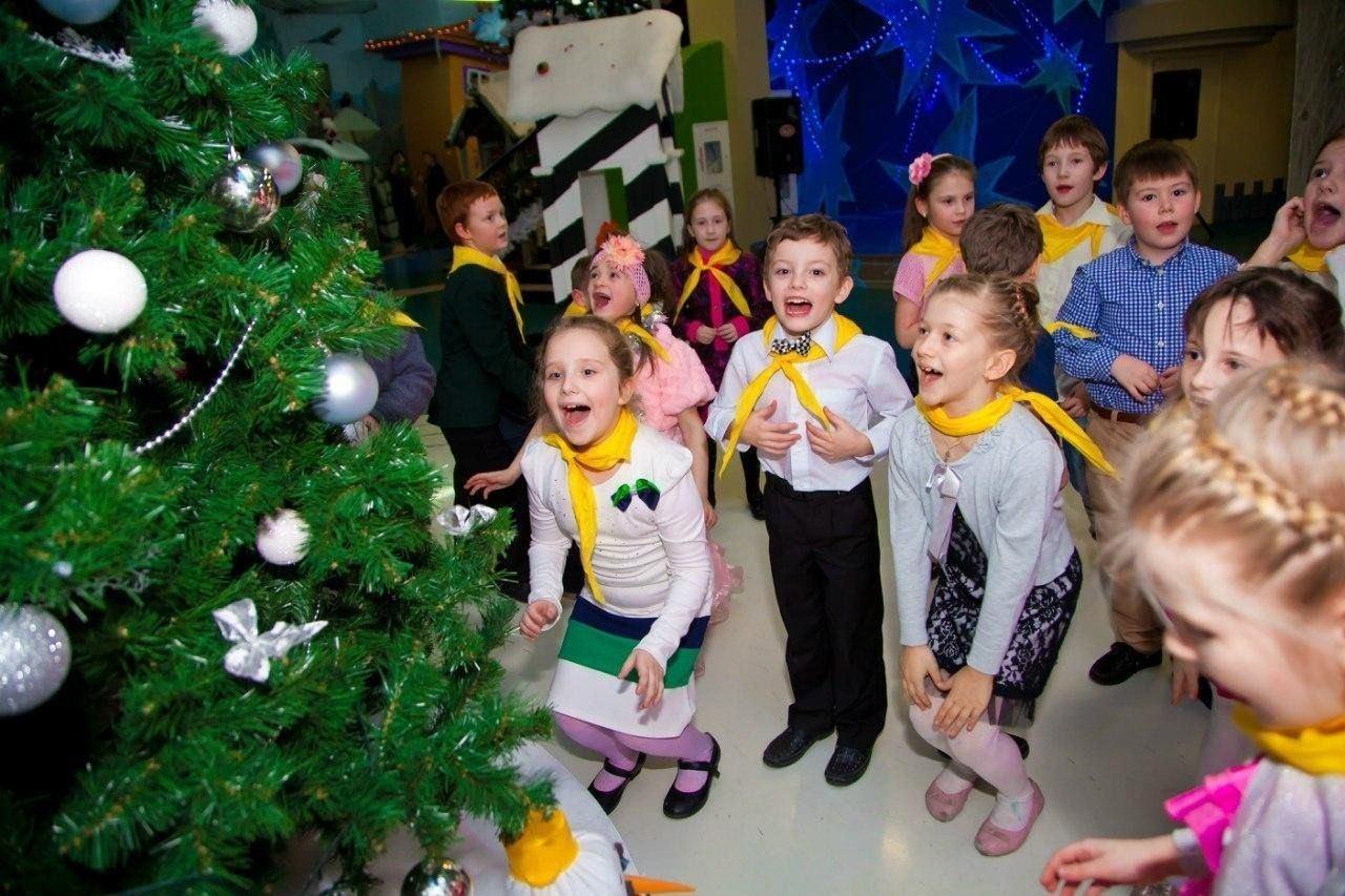 Познавательная программа «Встреча у новогодней елки»