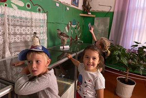 Квест «Совиные бега»