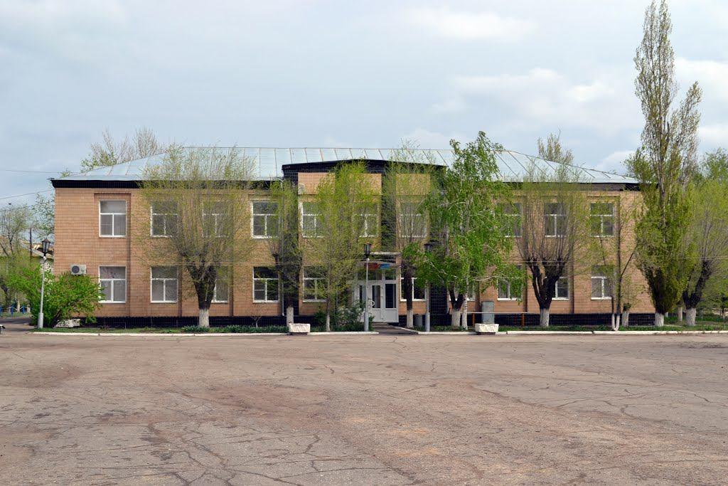 Палласовка. Палласовка Волгоградская. Город Палласовка Волгоградской области школа 36. Город Палласовка Палласовский район Волгоградской области. Площадь Палласовка Волгоградской области.