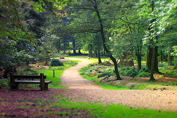 Нижнетагильский городской парк культуры и отдыха им. А. П. Бондина