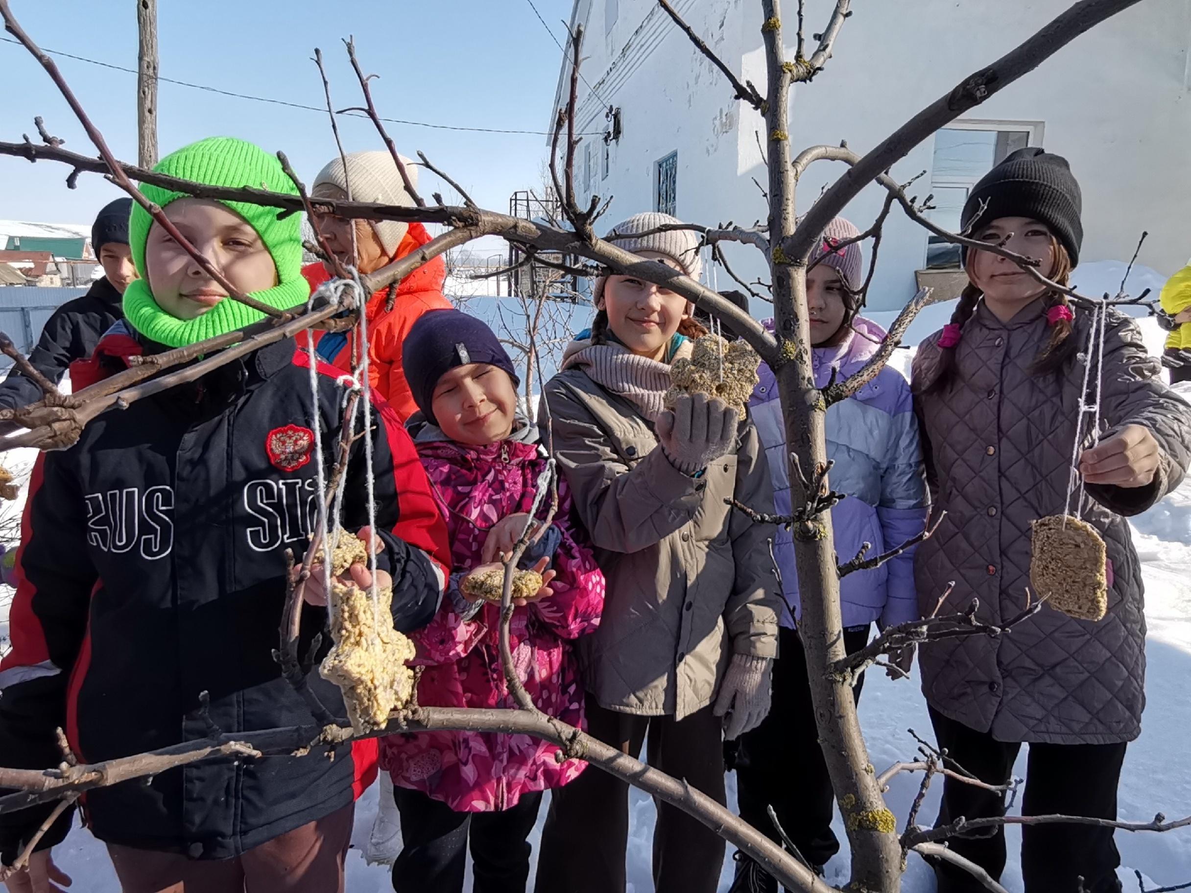 «Покормите птиц» Мастер-класс