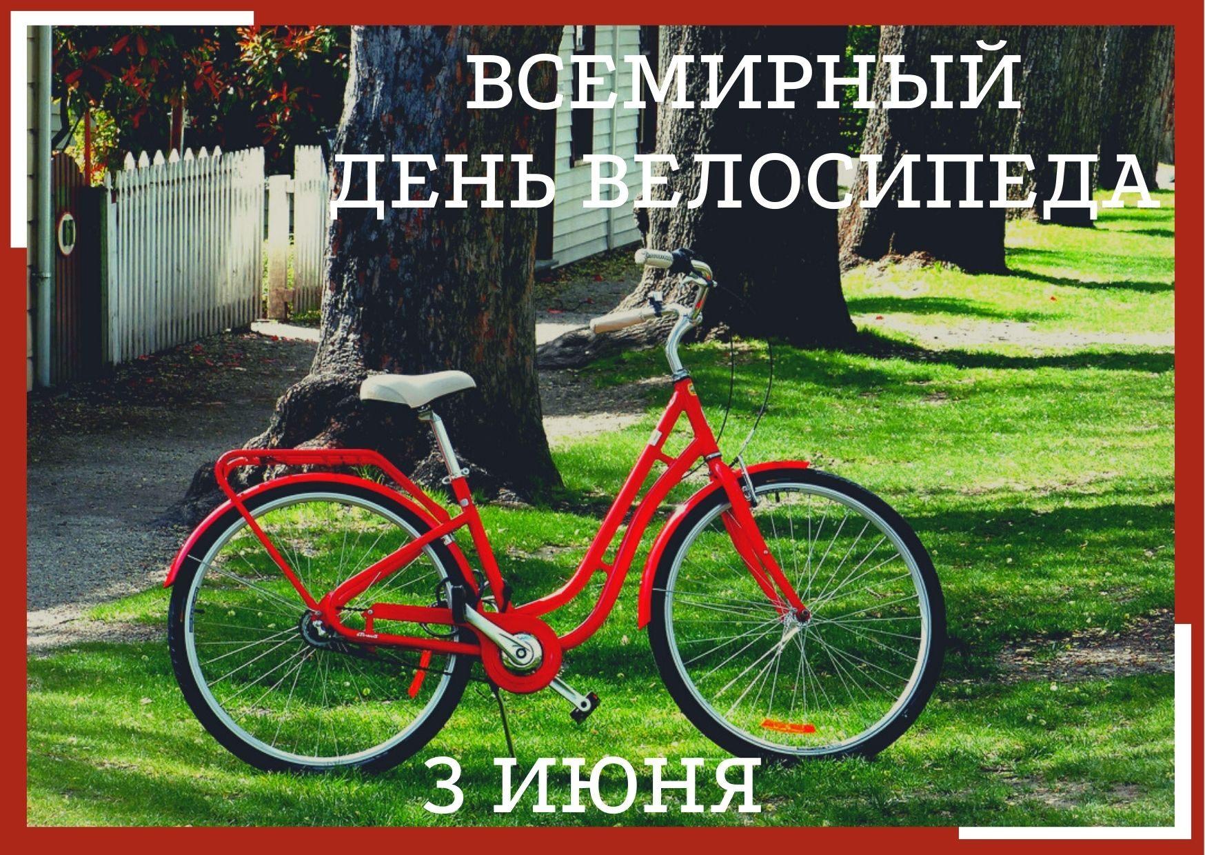 3 июня 2025 года приглашаем принять участие в вело пробеге по территории Щученсккого сельского поселения