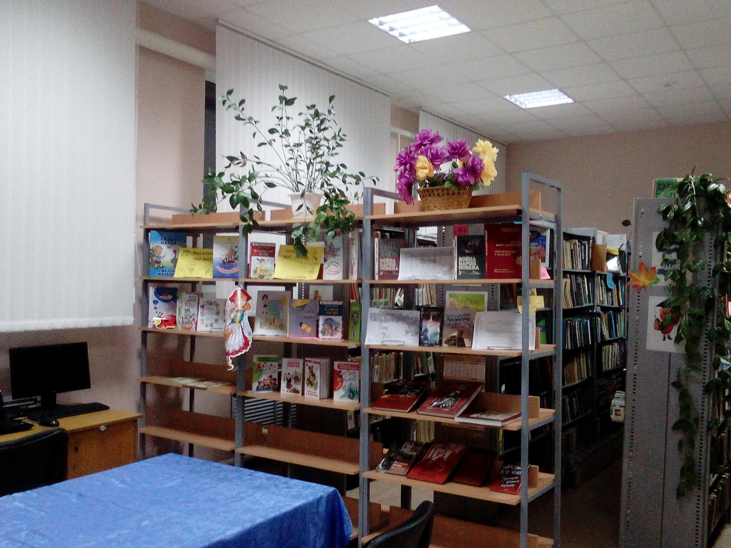 Чудесная страна БИБЛИОТЕКА