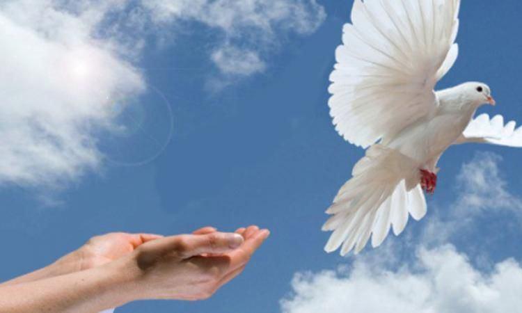 «Мы люди мира»