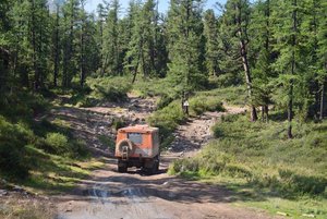 Программа «По заповедным тропам: открывая секреты дикой природы»