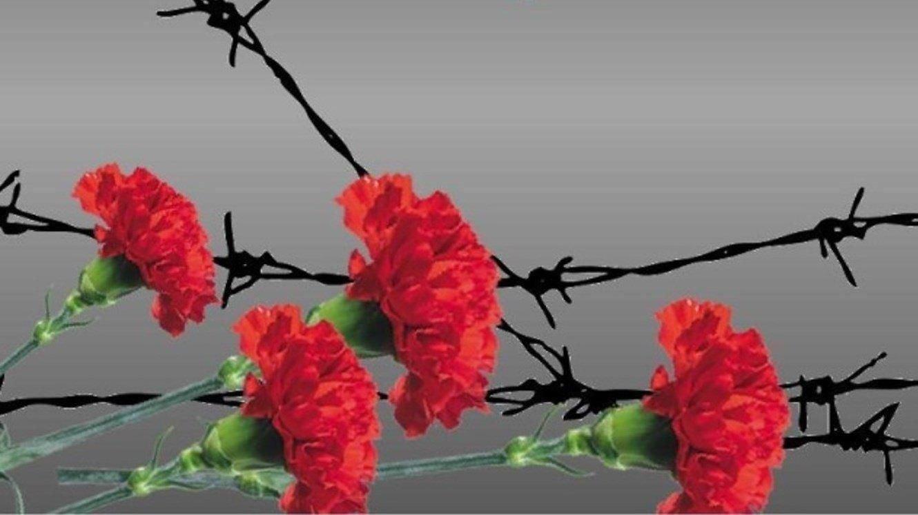 Видео-прайм «Свобода вопреки всему»