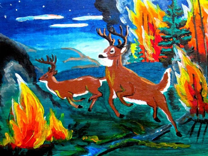 Конкурс–выставка рисунков «Лес боится огня!»