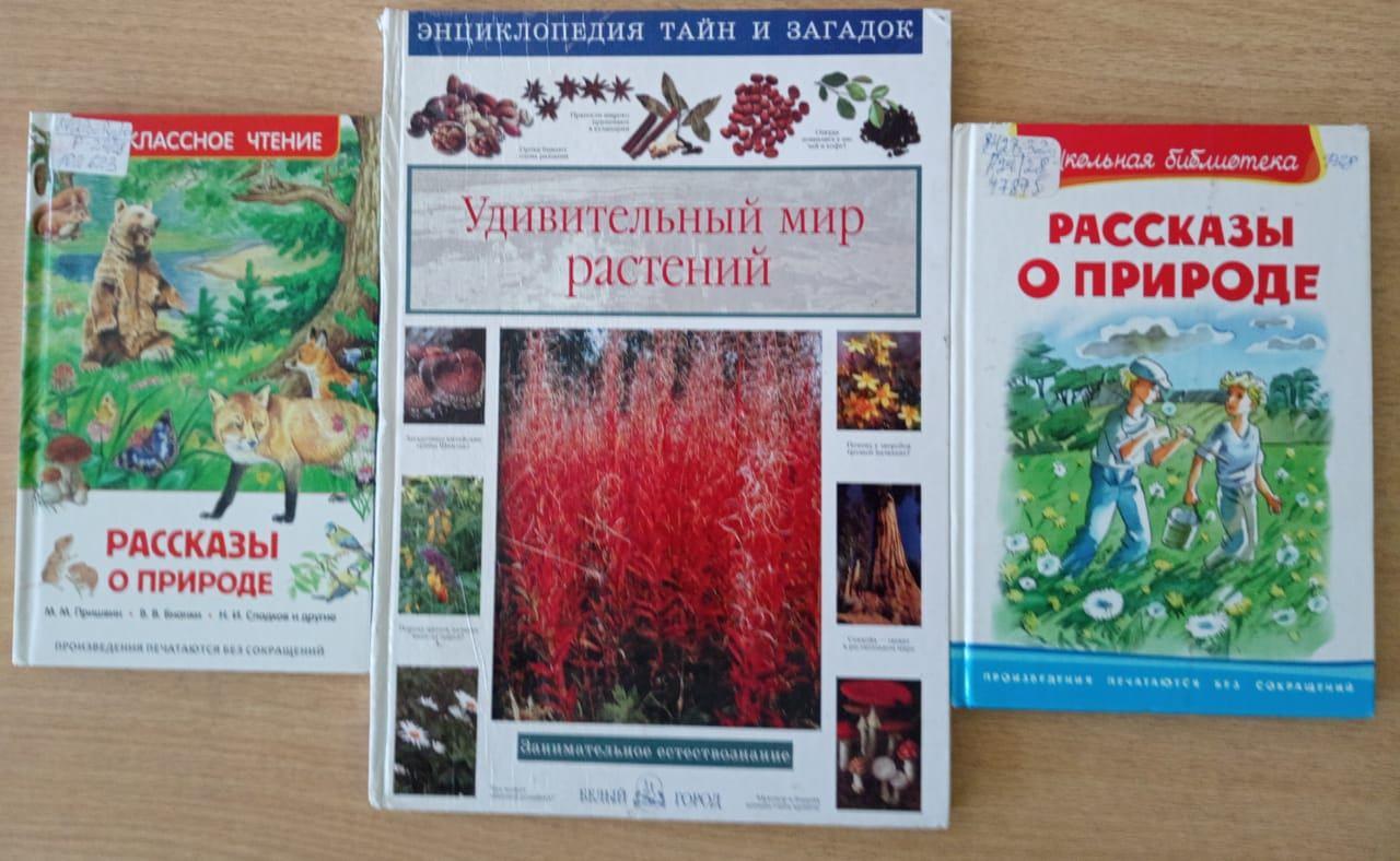 Экологический час «У природы есть друзья»