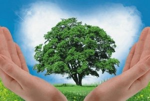 Беседа «Берегите природу!»