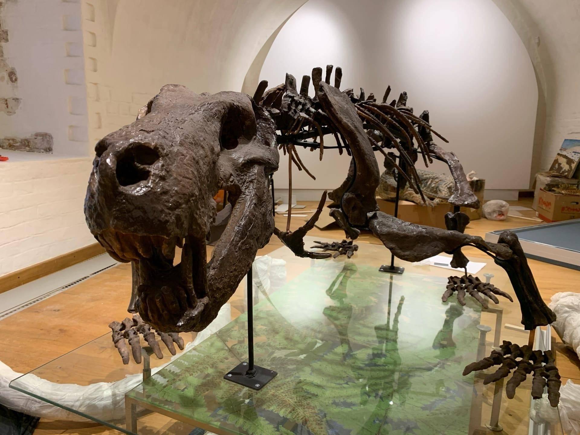 Выставка «Геология и палеонтология Северного края»