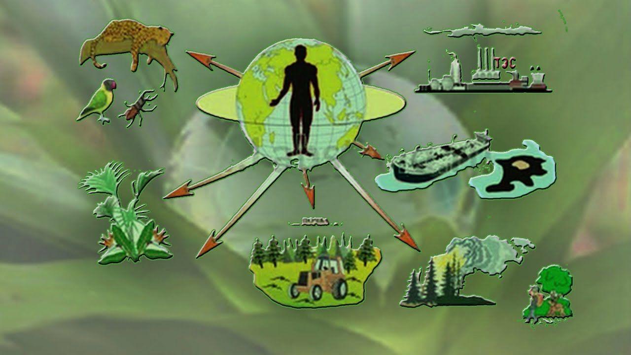 Информационный час«Законы природы»