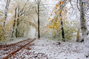 Программа «Культура русского народа»