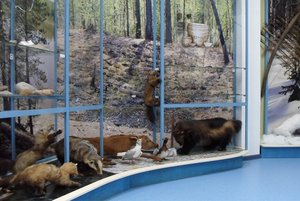 Выставка «Древности Сыни»