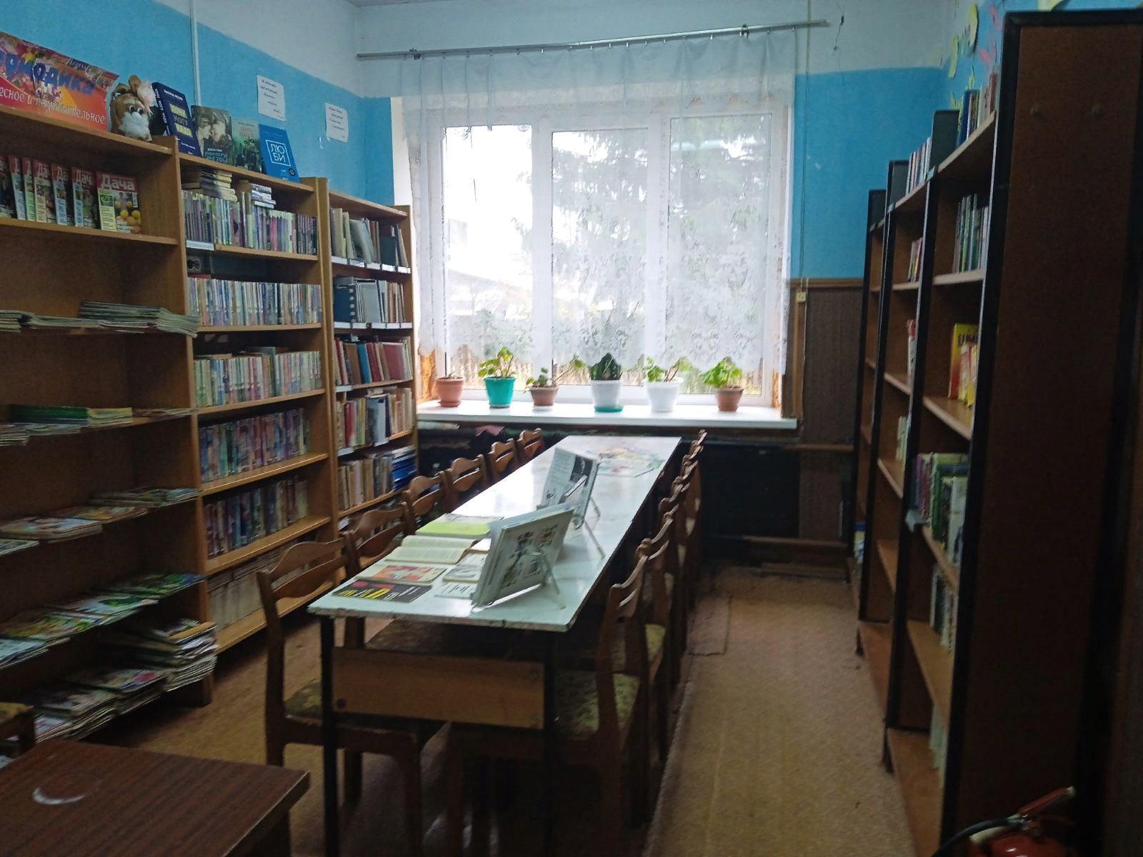 Панинская сельская библиотека