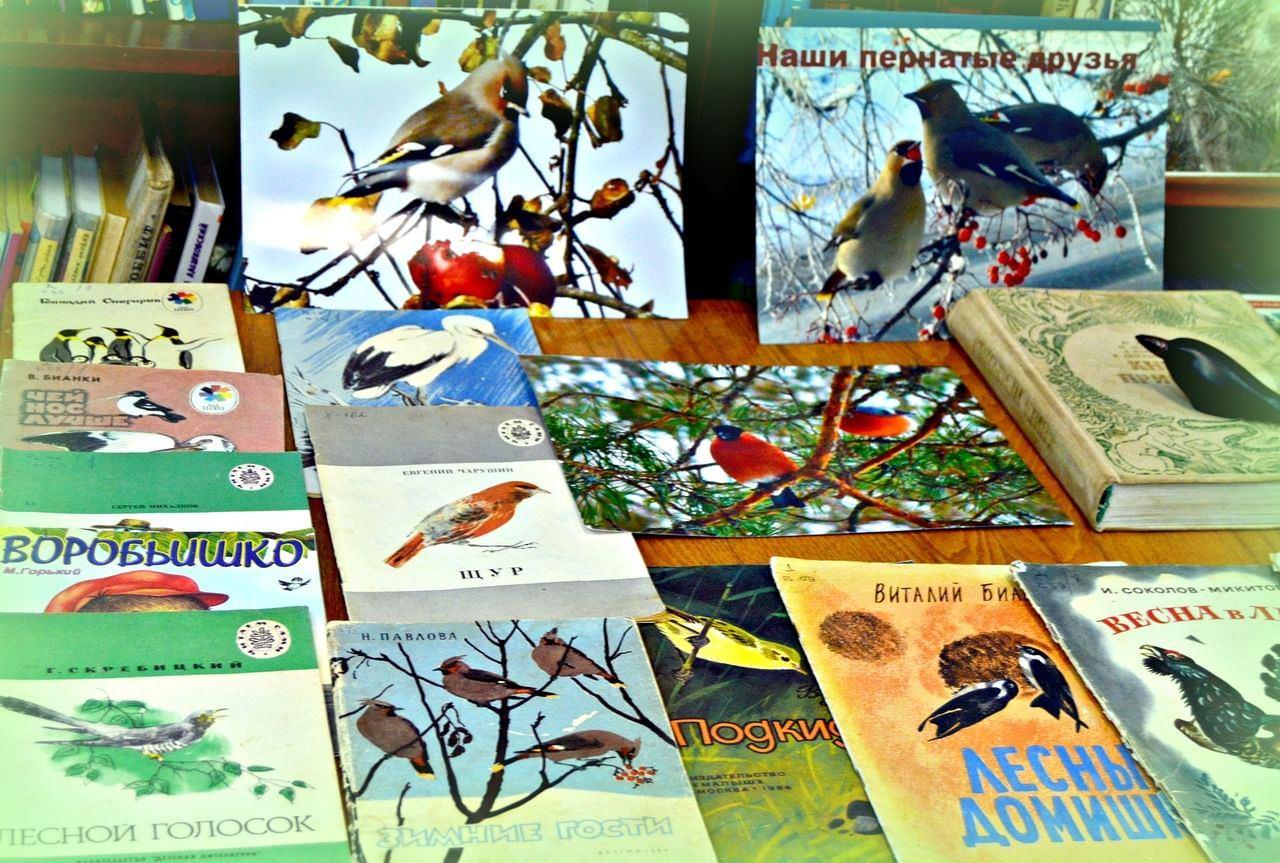 Наши пернатые друзья