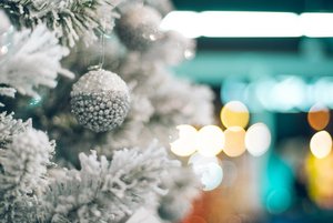 Познавательная программа «В поисках Нового года»