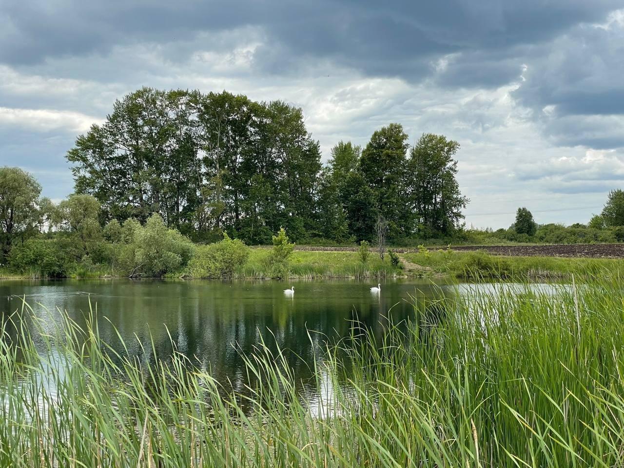 Видеоролик «Село родное»