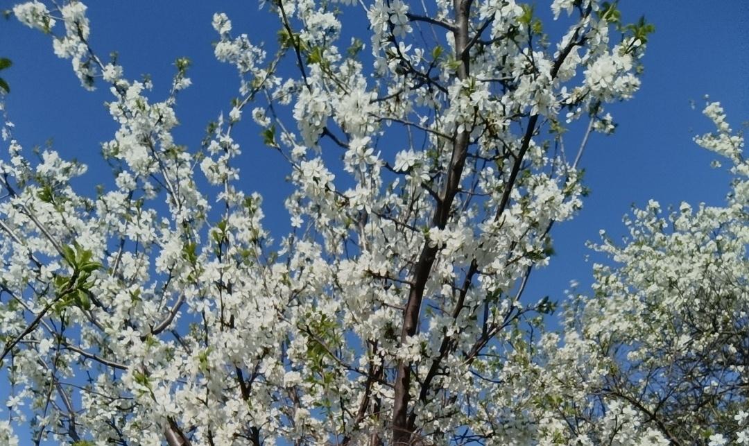 Обзор книжной выставки «Весна на страницах книг»