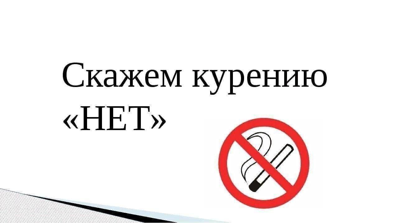 «Мы за ЗОЖ»