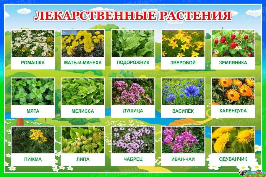 «Улэннэрнен серлэрен белик!»