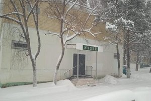 Экспозиции Музея истории города Лесозаводска