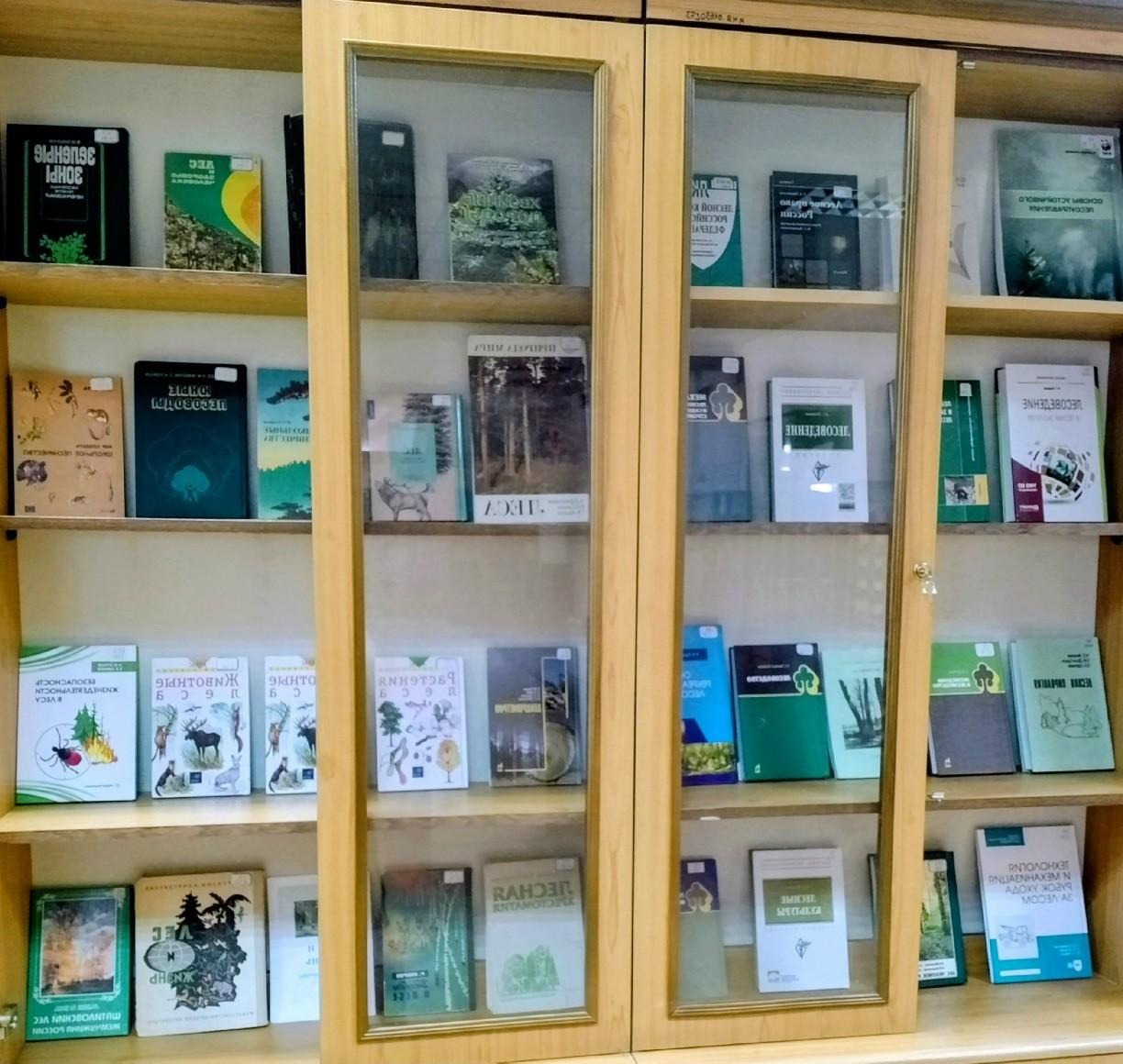 Выставка «Лесные ресурсы России»