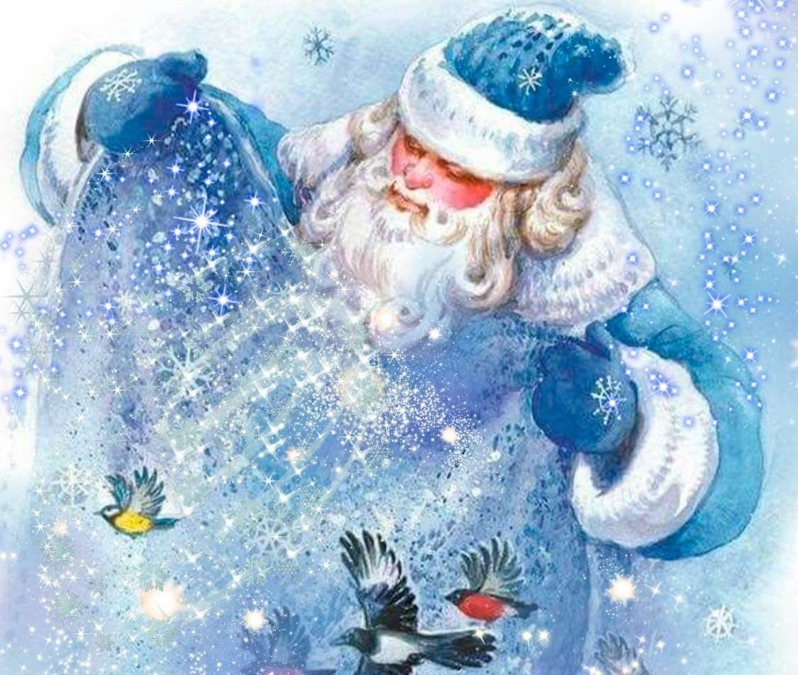 Программа «Где живет Новый год»