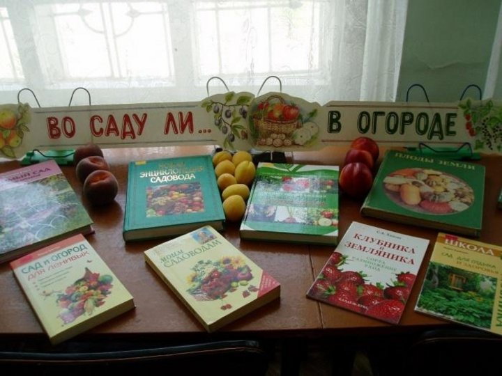 Книжная выставка « Во саду ли, в огороде»